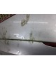 Крышка багажника бу для Peugeot 307 CC 2.0 i,  2005 г. бу контрактные купить в Спб