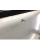 Дверь передняя левая бу для Renault Trafic  2.0 DCi,  2009 г. бу контрактные купить в Спб