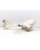 Бачок омывателя бу для Peugeot 207  1.4 i,  2011 г. бу контрактные купить в Спб