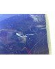 Крыло переднее правое бу для Renault Clio  1.5 DCi,  2007 г. бу контрактные купить в Спб