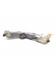 Бачок омывателя бу для Ford C-Max  2.0 i,  2006 г. бу контрактные купить в Спб