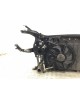 Панель передняя (телевизор) бу для Mini One R56 1.4 i,  2007 г. бу контрактные купить в Спб
