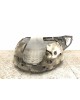 Защита арок передняя правая (подкрылок) бу для Peugeot 207  1.4 i,  2006 г. бу контрактные купить в Спб