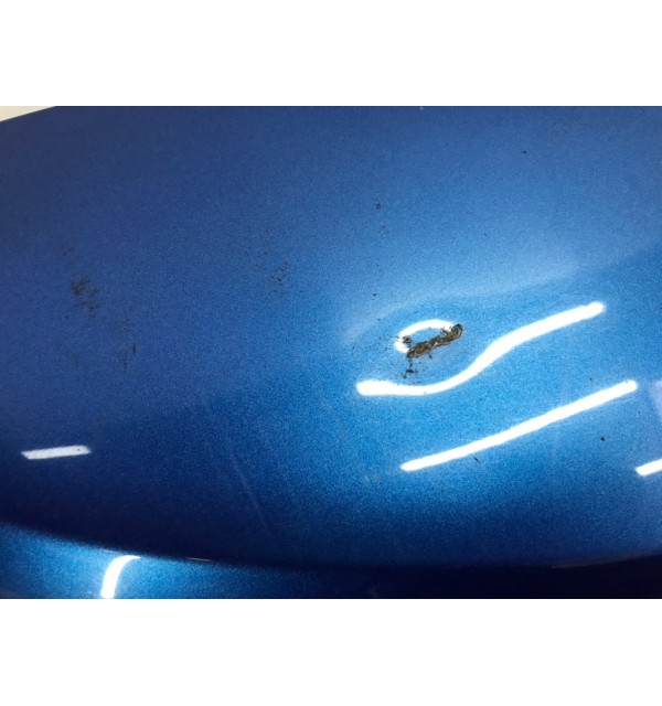Крышка багажника бу для Renault Scenic  1.5 DCi,  2006 г. бу контрактные купить в Спб