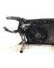 Панель передняя (телевизор) бу для Mini One R56 1.4 i,  2008 г. бу контрактные купить в Спб