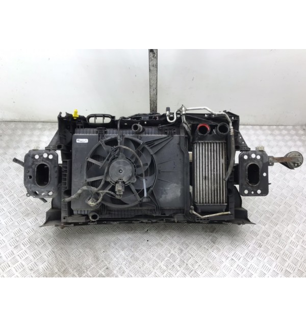 Панель передняя (телевизор) бу для Ford Fiesta  1.6 TDCi,  2010 г. бу контрактные купить в Спб