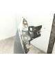 Крыло переднее правое бу для Ford Fiesta  1.6 TDCi,  2009 г. бу контрактные купить в Спб