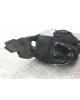 Защита арок передняя левая (подкрылок) бу для Lexus IS  2.2 TD,  2009 г.