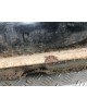 Бак топливный бу для Honda Accord 7 2.0 i,  2005 г.