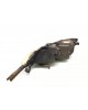 Фара правая бу для Honda Civic 8 2.2 CTDi,  2006 г.