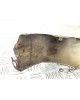 Крыло переднее правое бу для Chevrolet Matiz  1.0 i,  2007 г.