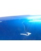 Капот бу для Peugeot 206  1.4 i,  2007 г.