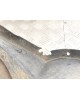 Защита арок передняя левая (подкрылок) бу для Skoda Fabia 1 1.4 TDi,  2003 г.