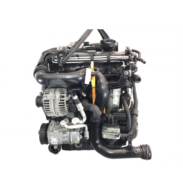 Двигатель (ДВС)  бу для Volkswagen Golf 5 1.9 TDi,  2008 г.