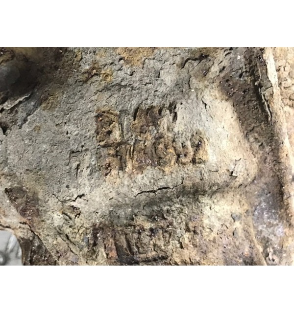 Редуктор заднего моста бу для BMW 3 E90/E91/E92/E93 2.0 i,  2007 г.