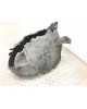 Защита арок передняя правая (подкрылок) бу для BMW 5 F10/F11/GT F07 2.0 TD,  2011 г.