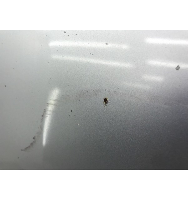 Капот бу для Opel Corsa C 1.0 i,  2006 г.