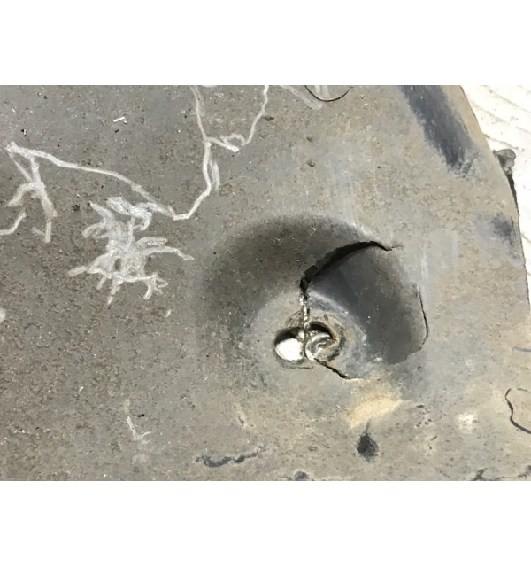 Защита арок передняя левая (подкрылок) бу для Volkswagen Golf 5 1.6 FSI,  2004 г.