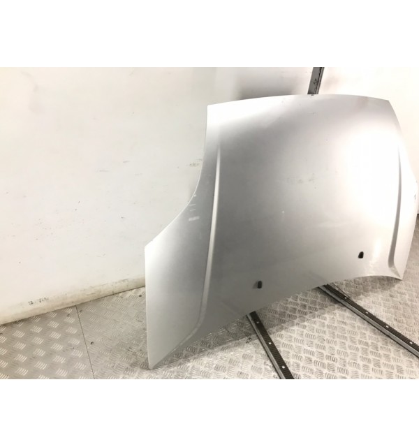 Капот бу для Ford Fiesta 5 1.3 i,  2004 г.