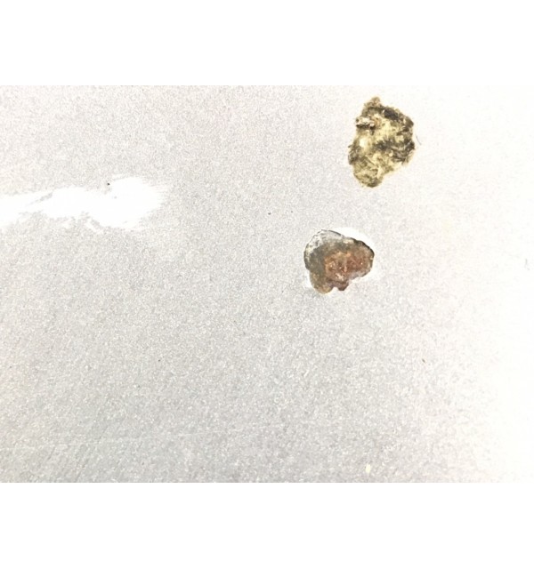 Капот бу для Nissan Micra K12 1.0 i,  2003 г.