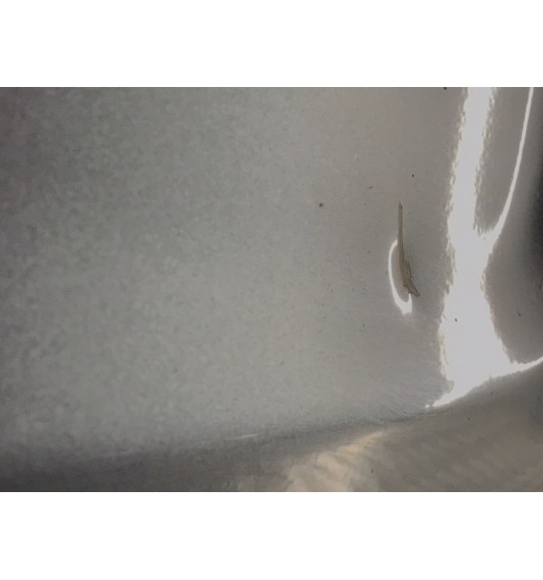 Крышка багажника бу для Honda CR-V 3 2.2 i-CTDi,  2007 г.