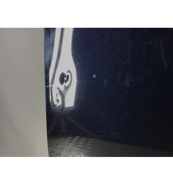 Дверь передняя правая бу для Audi A6 C6 2.0 TDi,  2008 г.