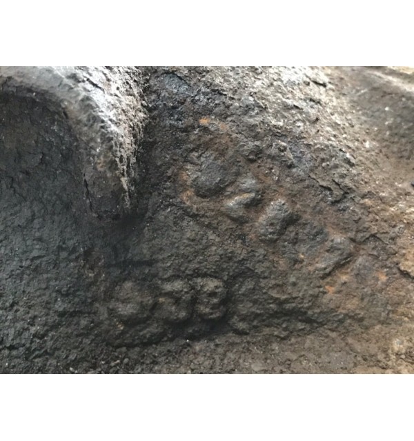 Редуктор заднего моста бу для BMW 1 E87/E81/E82/E88 1.6i,  2008 г.